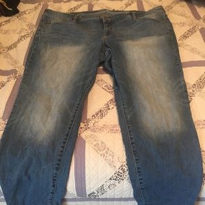 Torrid jeans